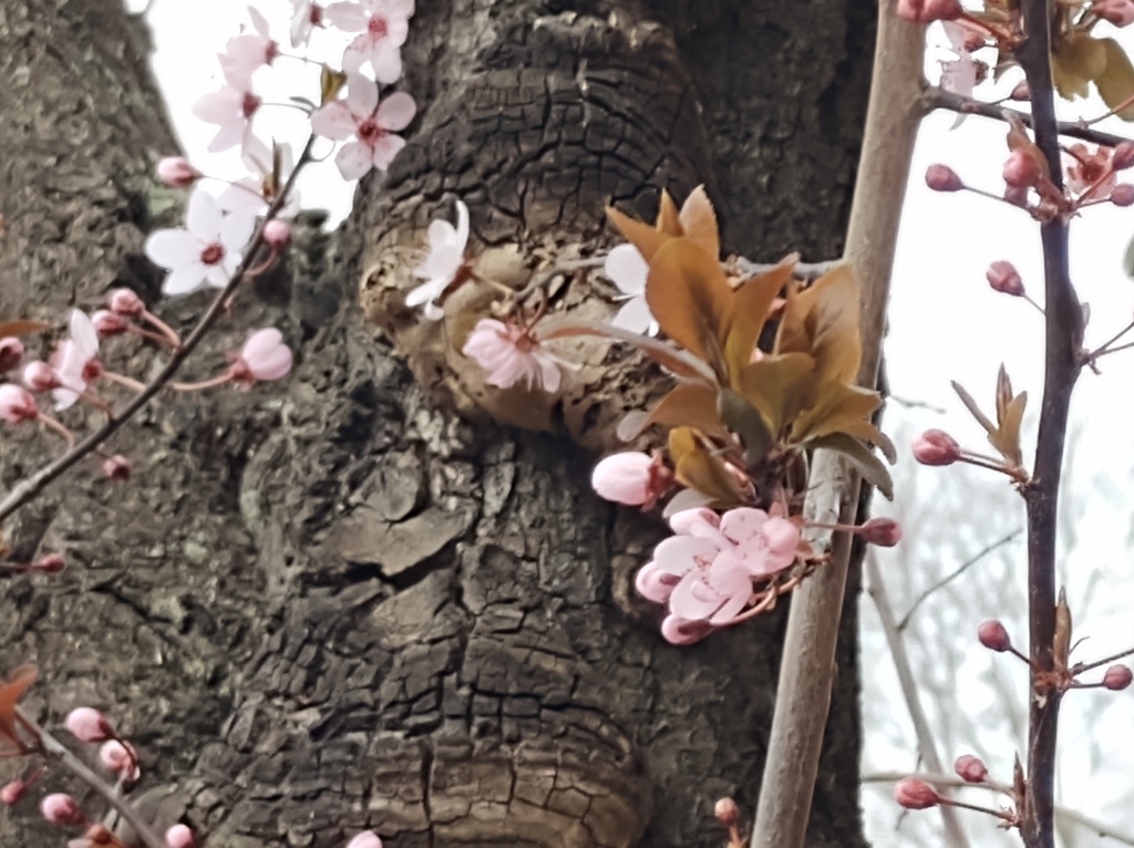 No s'ha trobat l'arxiu